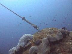 No Anchors Allowed.jpg